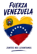 Fuerza Venezuela  Design